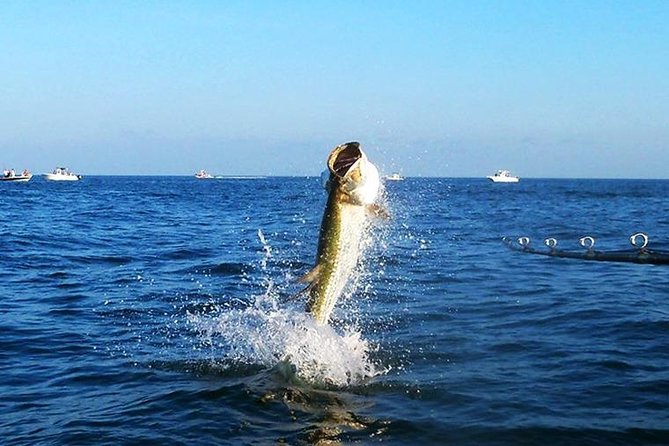 Tampa Bay Inshore Fishing Charters - Passage Key Inlet and Tarpon Season
