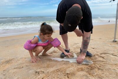 Three-Hour Beach Fishing Charter in Northeast Florida - Price and Value: Why $125 Works for the Right Person