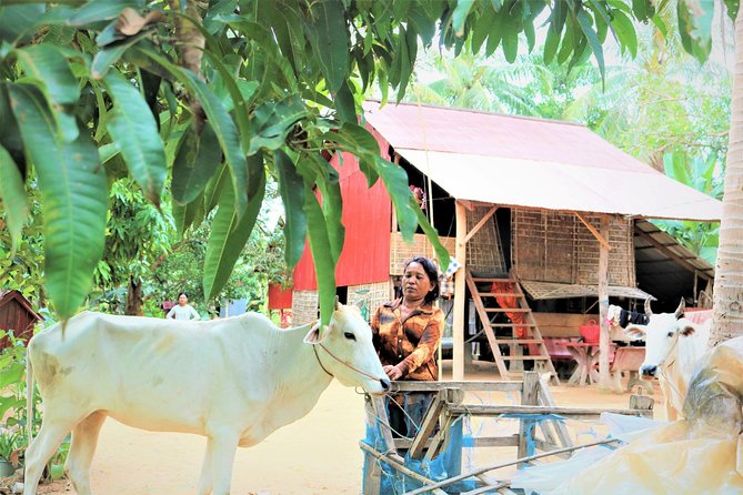 Tonle Sap Lake - Fishing Village & Flooded Forest - The Kampong Phluk flooded-forest villages by boat