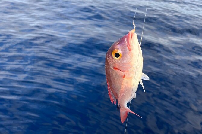 Traditional Fishing Experience in Zakynthos - Why early-morning fishing from Tsilivi is the whole point