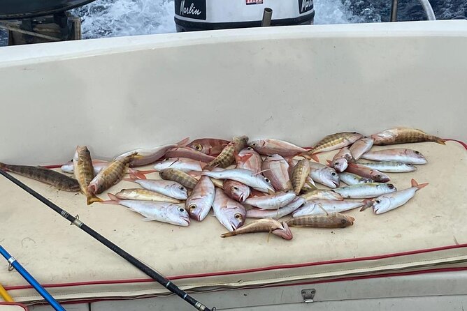 Traditional Fishing Experience in Zakynthos - East coast route and the Blue Caves option at the end