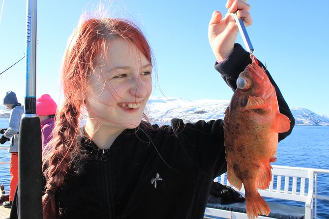 Tromsø: Arctic Fjord Cruise & Fishing Experience - Key highlights you’ll feel from the start