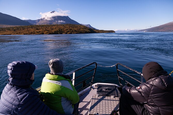 Tromsø: Arctic Fjord Cruise & Fishing Experience - Lunch fish soup: warm food that doesn’t feel like an afterthought