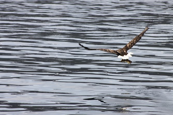 Tromsø: Arctic Fjord Cruise & Fishing Experience - Thermal suits and comfort at sea: how you’ll stay warm