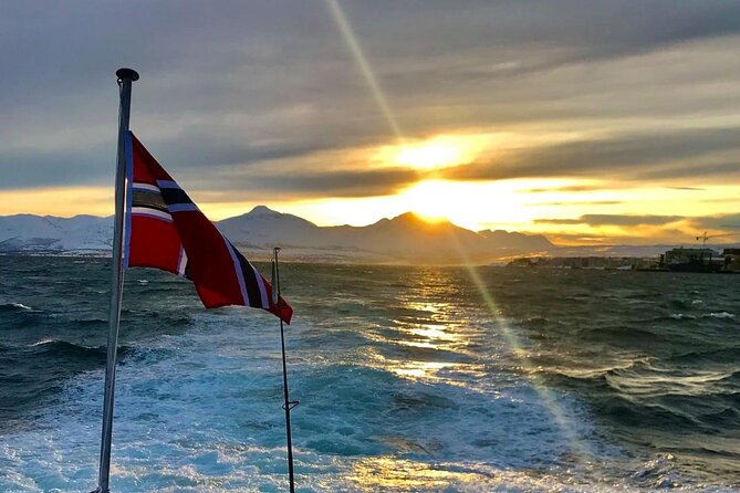 Tromsø: Arctic Fjord Cruise & Fishing Experience - What’s the timing like, and why the morning matters