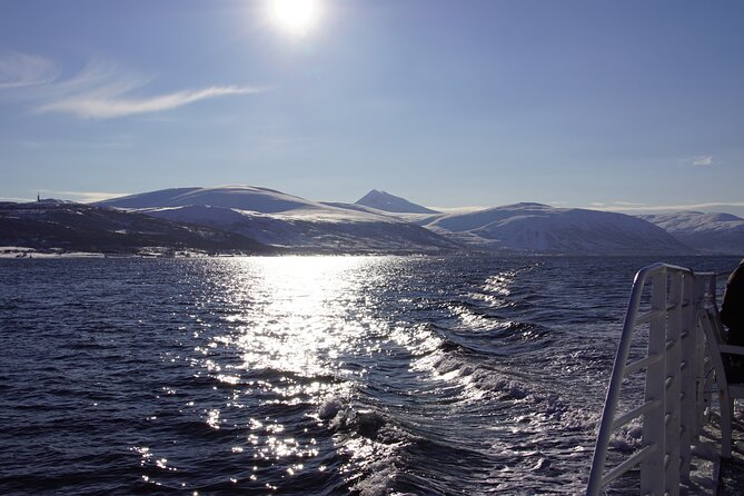 Tromsø: Arctic Fjord Cruise & Fishing Experience - Value for $156.08: what makes it feel worth it