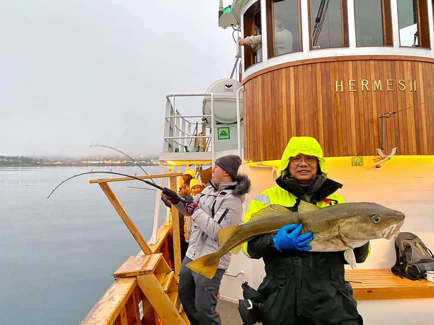 Tromsø: Fishing & Fjord Cruise - Key things that make Hermes II different