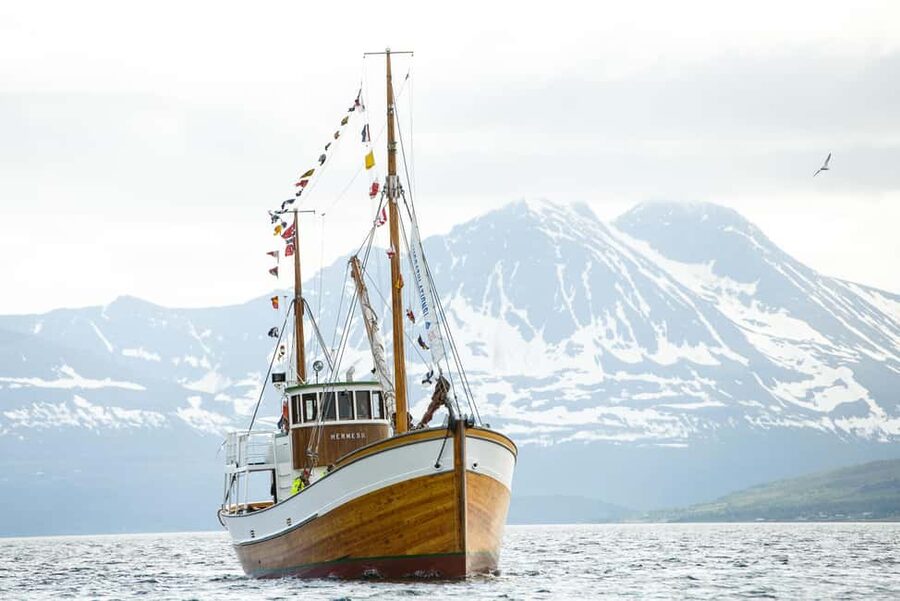 Tromsø: Fishing & Fjord Cruise - Price and Value: Is $198 Worth It?