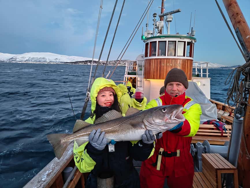 Tromsø: Fishing & Fjord Cruise - Fishing Setup: Rod Limits, Groups, and Beginner-Friendly Rhythm
