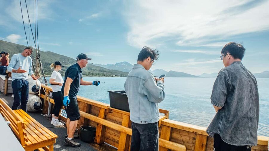 Tromsø: Fishing & Fjord Cruise - Who This Trip Suits Best (And Who Might Want a Different Option)