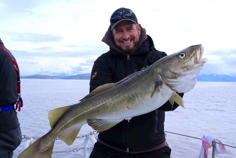 Tromsø: Fishing Sea Safari - Two-person crew: how the skipper and fishing guide divide the work
