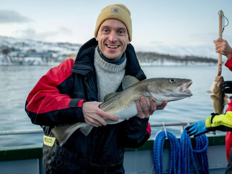 Tromsø: Fishing Sea Safari - Lunch onboard: fresh fish soup that makes the trip feel complete