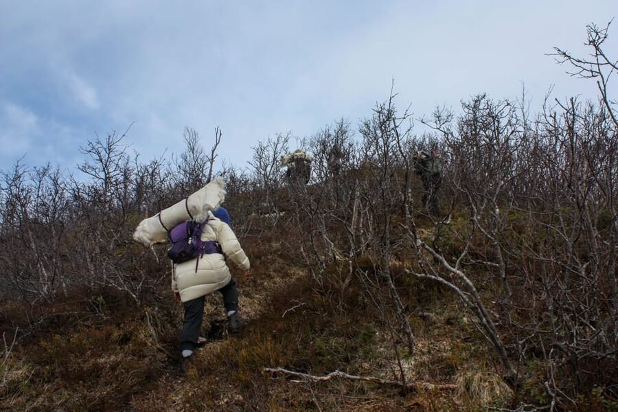 Tromsø: Ice Fishing and Snowshoe Hiking with a Local Guide - The snowshoe hiking sections: pace, snow, and the “off-path” reality