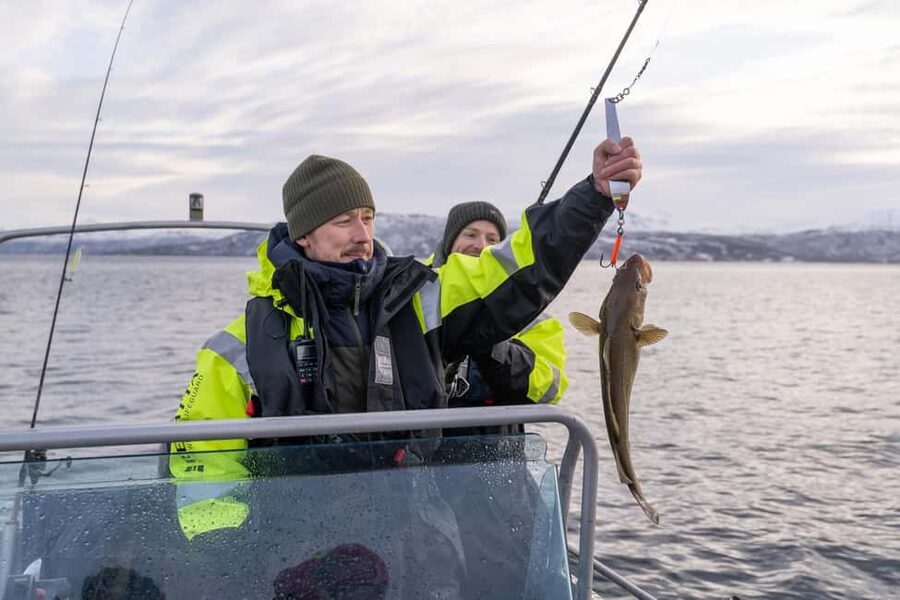 Tromsø: Private Fishing Tour - The Fjord Boat Ride: 20 to 40 Minutes of Views (and Possible Wildlife)