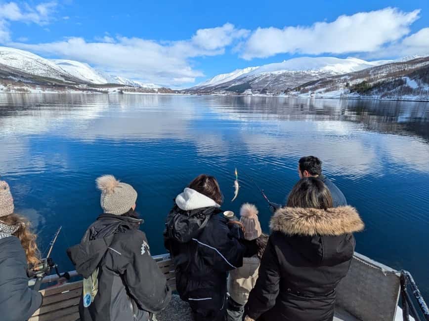 Tromsø’s Top-Rated Fjord & Fishing Cruise – All-Inclusive - Key things to know before you go