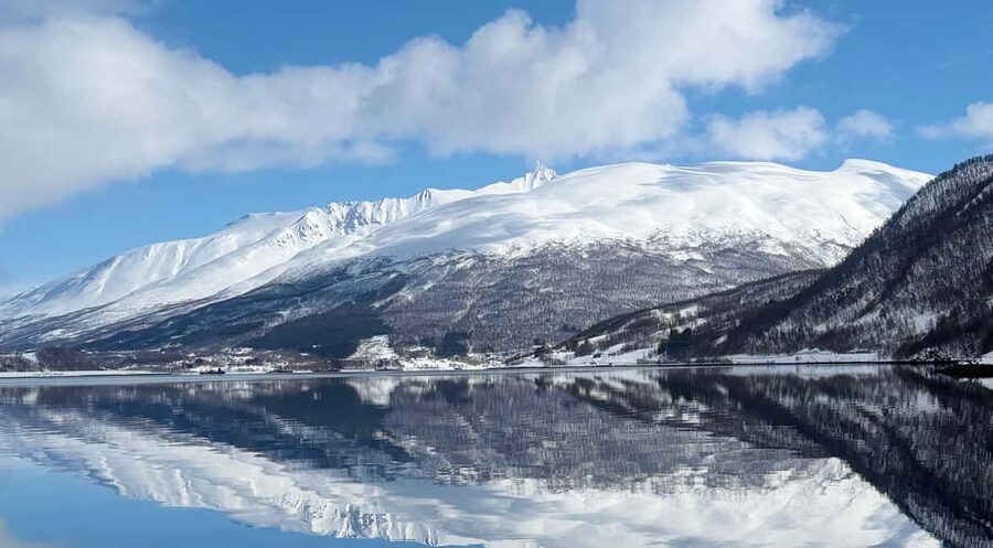 Tromsø’s Top-Rated Fjord & Fishing Cruise – All-Inclusive - Why this cruise feels personal even when you’re outside Tromsø