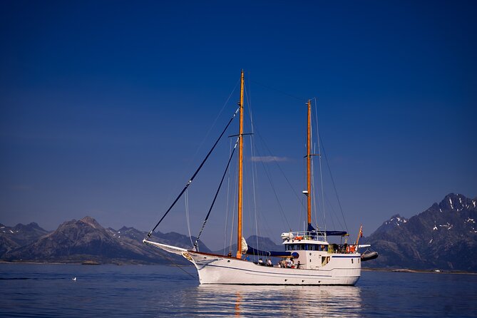 Tromsø Small Group Sea-to-Table Fishing Trip - The Fishing Reality Check: Gear Heft, Crowding, and Sea Conditions