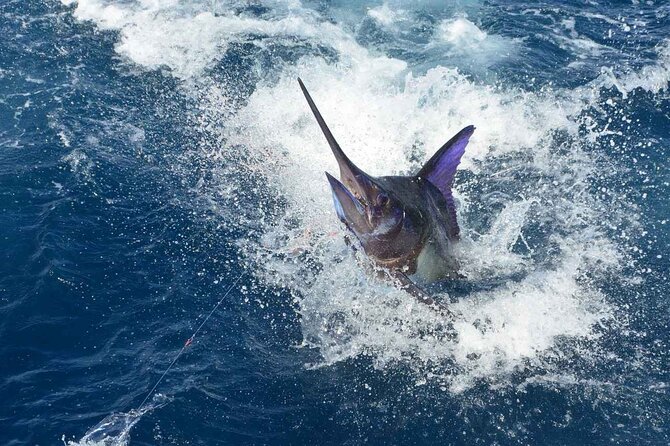 Tulum Deep Sea Fishing Tour - The itinerary is simple: Tulum the whole way