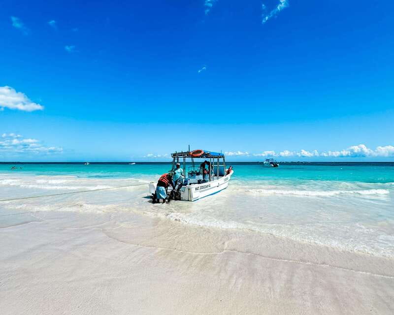 Tulum: Sport Fishing Experience with Ceviche - What to bring for comfort and fewer headaches