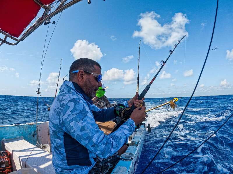 Tulum: Sport Fishing Experience with Ceviche - The species list: what you can catch, and how season changes the odds