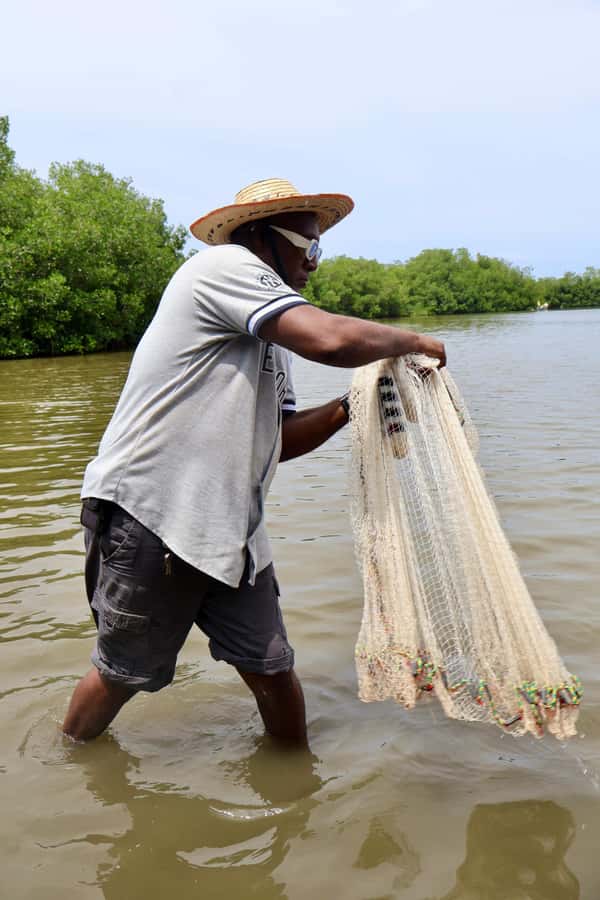 Typical lunch on beach, mangrove tour & fishing with natives - Should You Book This Mangroves, Fishing and Beach Lunch Tour in Bolívar?
