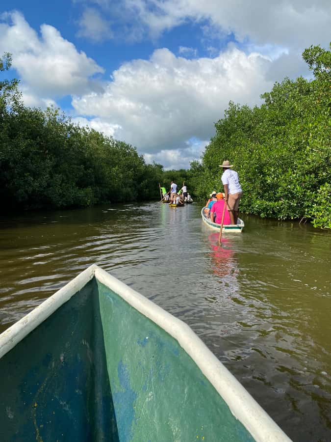 Typical lunch on beach, mangrove tour & fishing with natives - From Your Hotel to Laid-Back Mangroves in About 20 Minutes