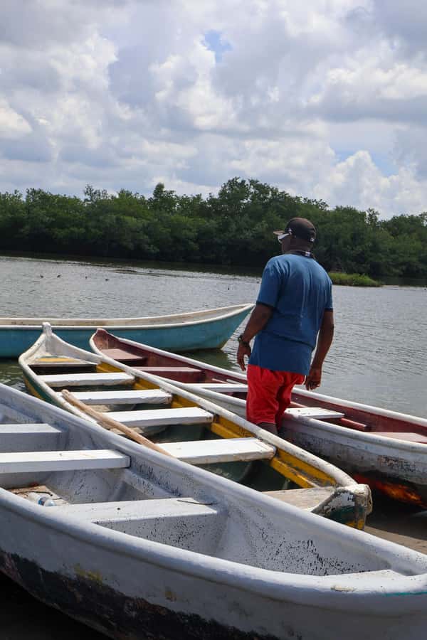 Typical lunch on beach, mangrove tour & fishing with natives - Fisherman Island and the Cultural Side You’ll Actually Remember