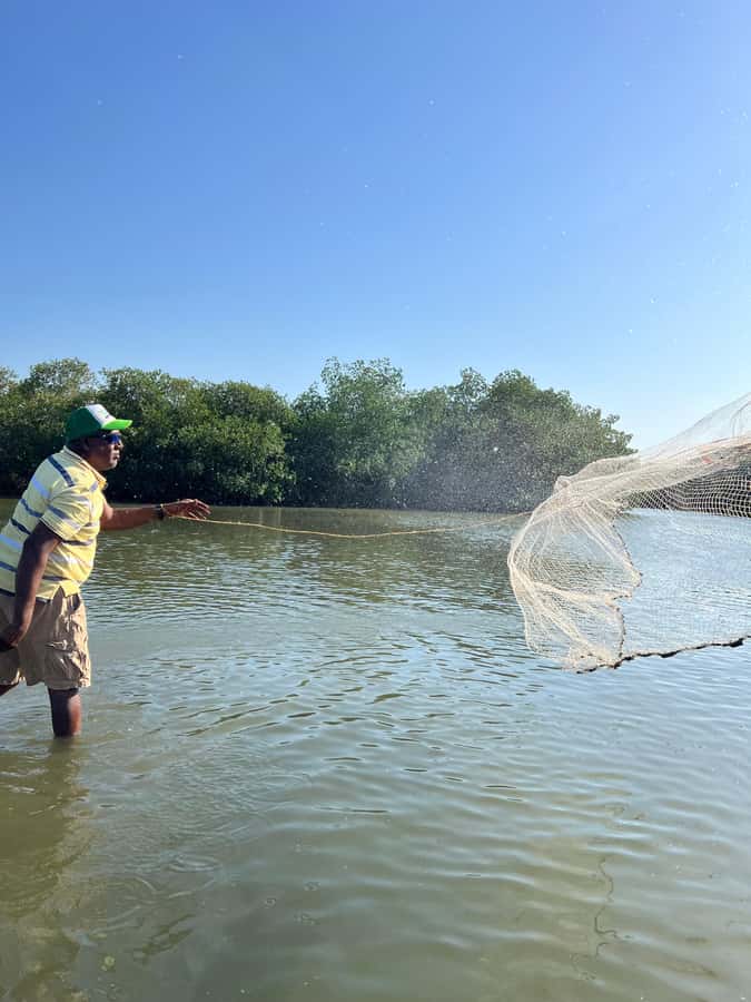Typical lunch on beach, mangrove tour & fishing with natives - 12:30 Beach Lunch: What’s on Your Plate and Why It Feels Special