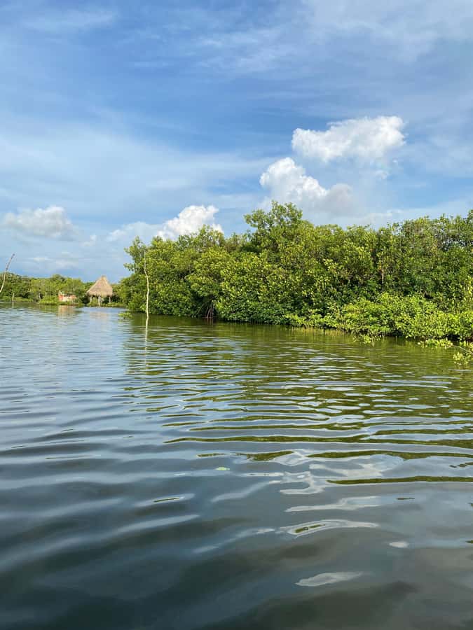 Typical lunch on beach, mangrove tour & fishing with natives - Who This Tour Fits Best (and Who Might Want a Different Option)