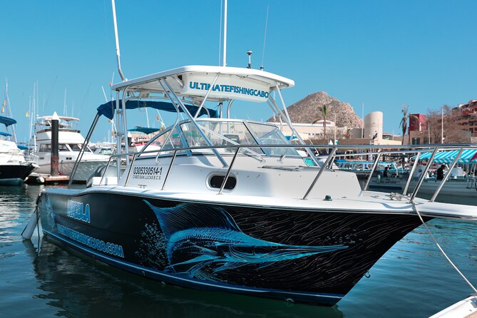 Ultimate Fishing Experience in Cabo - Wildlife Bonuses: Whales, Dolphins, Sea Turtles, and Sea Lions