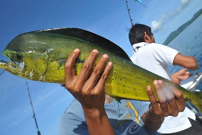 Ultimate Full-Day Big Game Fishing & Trolling Tour - Lunch and drinks on a boat: Thai buffet-style food, with some swings