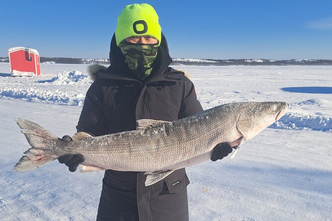 Ultimate Ice Fishing with Lunch - Quick hits before you go