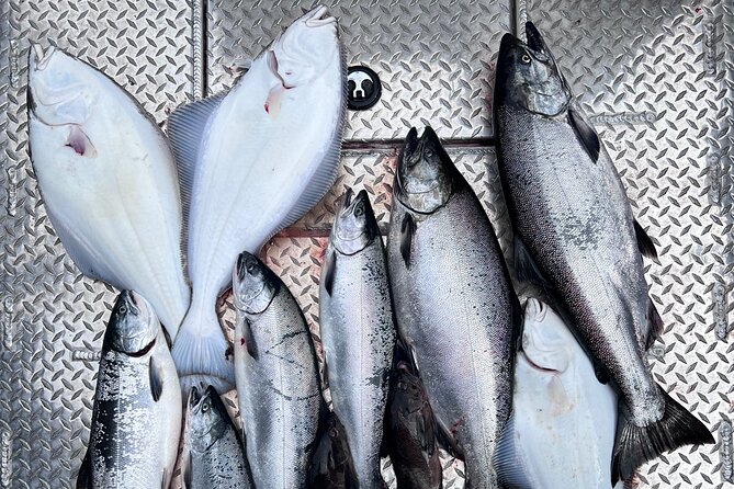 Ultimate Ketchikan Salmon and Halibut Fishing Adventure - Key Things to Know Before You Go