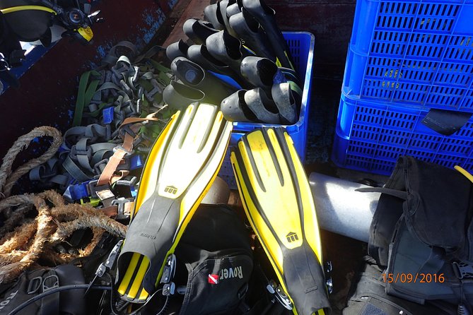 V.I.P Snorkeling & Fishing Tour ( Speed Boat ) Minimum 02 people - Hon Mun snorkeling: protected waters and practical safety