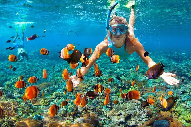 V.I.P Snorkeling & Fishing Tour ( Speed Boat ) Minimum 02 people - Price and value check: is $105 a good deal?