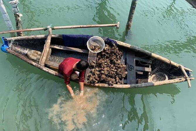 Vietnam/Lang Co Oyster Tour by Fishing & Tasting Oyster Flavors - Key Things You’ll Notice on This Lang Co Oyster Tour