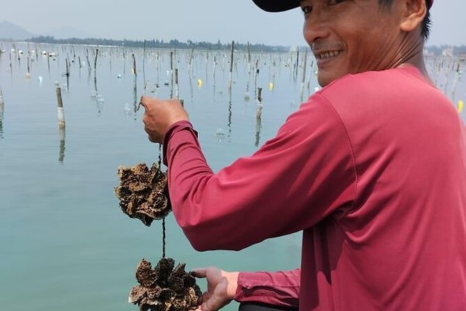 Vietnam/Lang Co Oyster Tour by Fishing & Tasting Oyster Flavors - Lap An Lagoon and the Oyster Farm Ride: The Part That Feels Truly Local