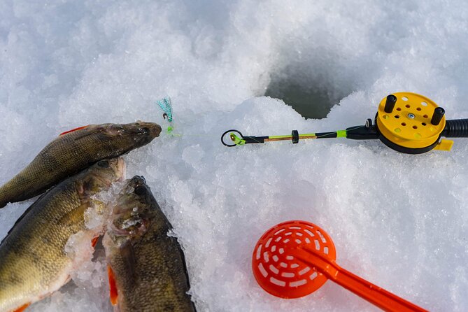 VIP Ice Fishing "ICEBREAKER" Lunch in Glass Igloo - Guides, attention, and the difference between “busy” and “personal”
