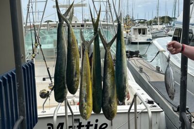 Waikiki Deep Sea Fishing Charter from Oahu - Diamond Head Crater stop: the scenic warm-up you’ll appreciate