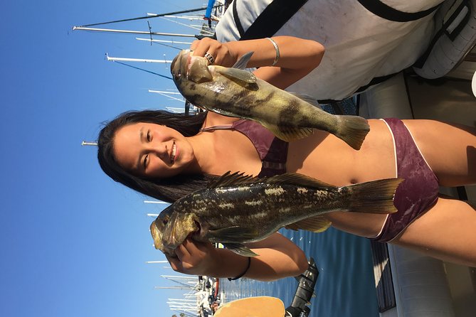 Whale Watching and Fishing Combination Excursions - Who should book this (and who should skip it)
