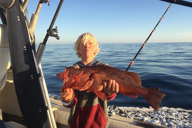 Whale Watching and Fishing Combination Excursions - Should you book Off The Grid’s whale watching and fishing combo?