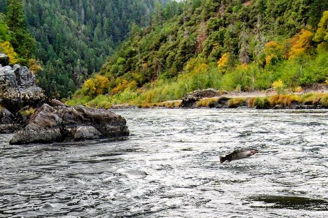Whitewater Fishing and Rafting Experience in Rogue River - Rogue River rafting and fishing in four days: what the experience feels like