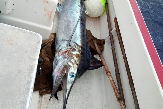 Wholesale Fishing in Poti Marara at Tahiti Teahupoo Peninsula - What the stop in Teahupoo really means for the fishing day
