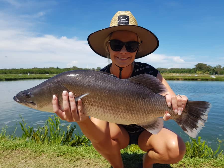 Wonga Beach: Hook-A-Barra Fishing Experience - Wonga Beach at the Daintree Saltwater Barramundi Farm: what you’re really signing up for
