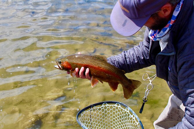 Yellowstone Full Day Wade Fishing Trip - Pickup From Yellowstone (and How the Day Starts)
