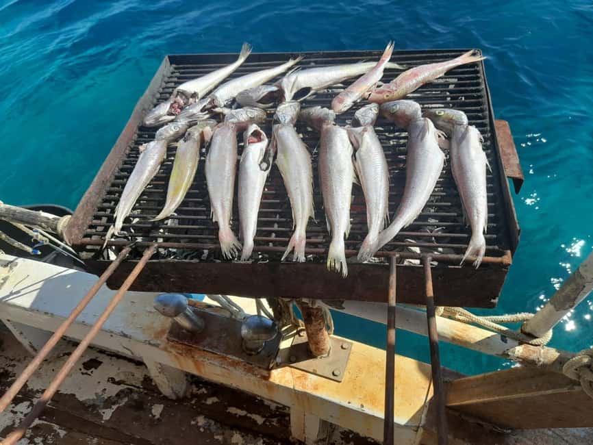 Zadar: Fishing Boat Trip with Lunch and Swimming Included - Key takeaways before you go