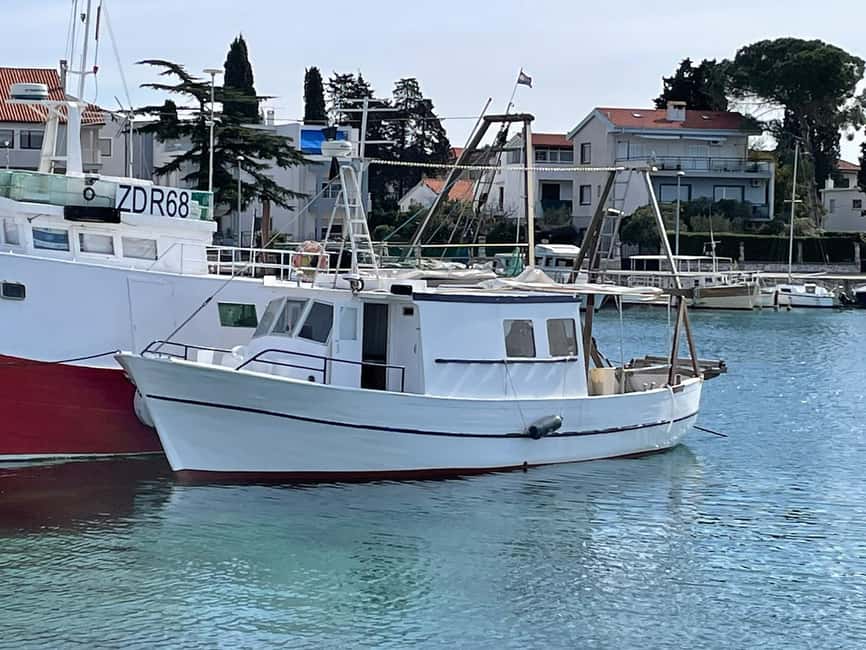 Zadar: Fishing Boat Trip with Lunch and Swimming Included - Sorting the Catch Onboard, With a Real Sense of Care