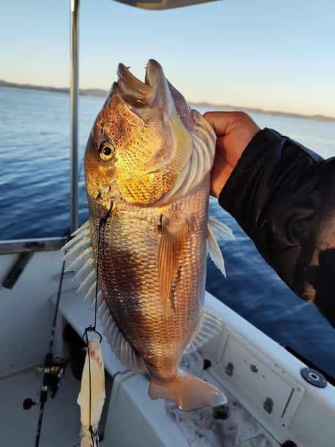 Zadar: Sunset Fishing Half-Day Guided Boat Trip - Who should book this sunset fishing trip