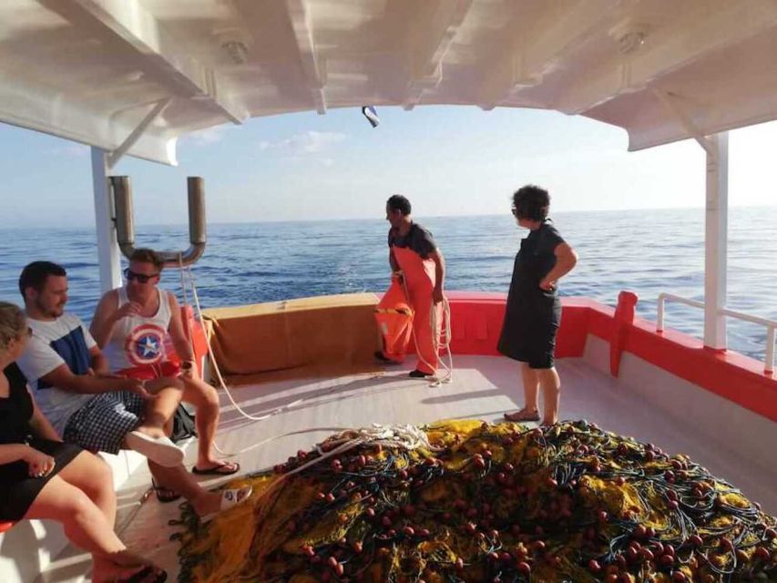 Zante Fishing Tours - Wildlife Luck: Turtles, Dolphins, and Seals Without the Fantasy Expectations