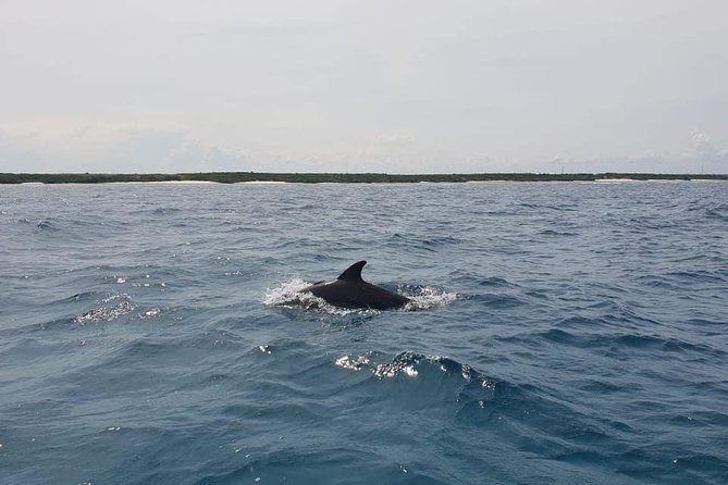 Zanzibar Deep Sea Fishing & Local fishing. - Who This Trip Suits Best (and Who Might Skip It)
